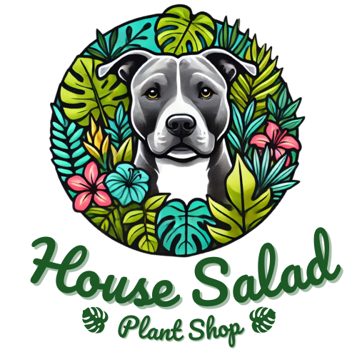 House Salad